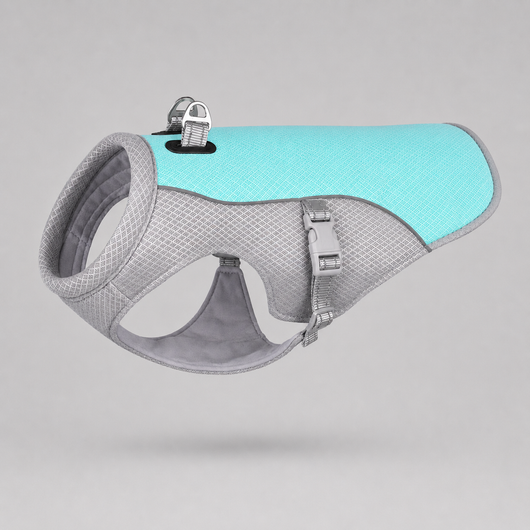 Cooling Vest