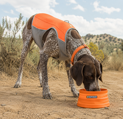 Cooling Vest