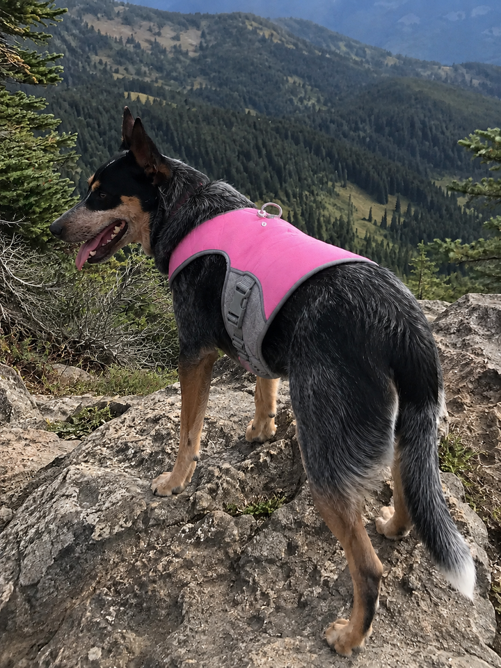 Review by Lisa K.